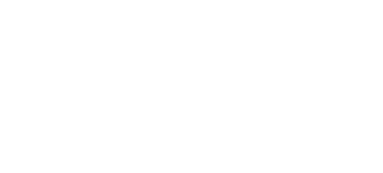 Logo Vive Telchac